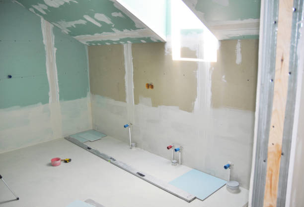 Best Mold-Related Health Consultation  in Cheboygan, MI