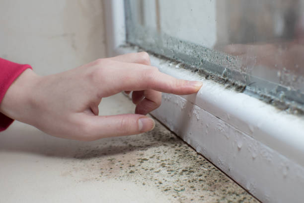 Best Indoor Air Quality Assessment  in Cheboygan, MI