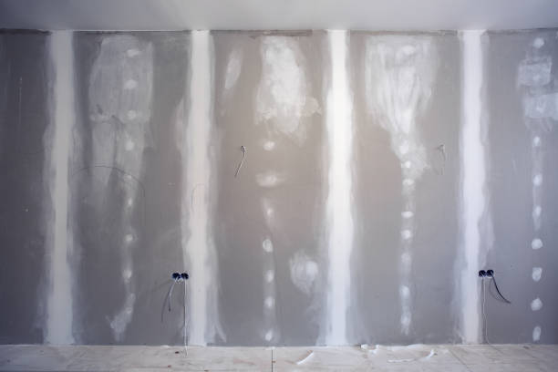 Mold Remediation for Vacation Homes in Cheboygan, MI