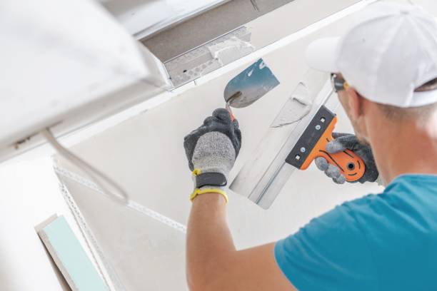 Best Real Estate Mold Inspection  in Cheboygan, MI